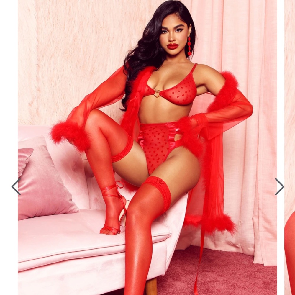 NWT Fashion Nova sheer Robe...”Robe Only”
